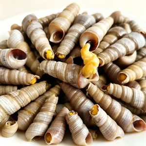 Shellfish & Molluscs