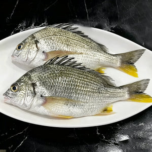 Fish