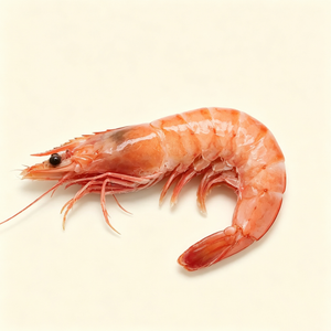 Shrimp & Prawns